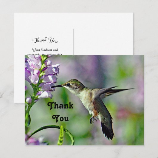 Kolibrie Roze Bloemendierfotografie Bedankt Briefkaart (Voorkant / Achterkant)