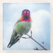 Kolibrie - Roze gekeelde Anna's kolibrie Glazen Onderzetter (Voorkant)