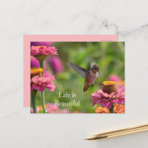 Kolibrie Roze Zinnia Bloemen (foto door mij) Briefkaart