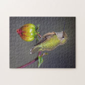 Kolibrie rust op bloemknop legpuzzel (Horizontaal)