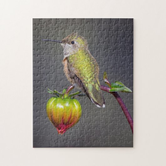 Kolibrie rust op bloemknop legpuzzel (Verticaal)