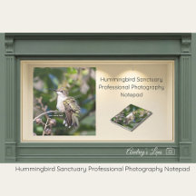 Kolibrie Sanctuary Professionele Fotografie