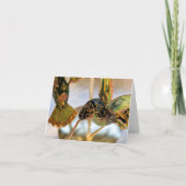 Kolibrie-sieraad Kerstkaart Feestdagen Kaart (Voorkant)