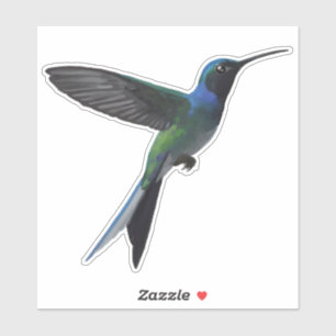 Kolibrie Sticker