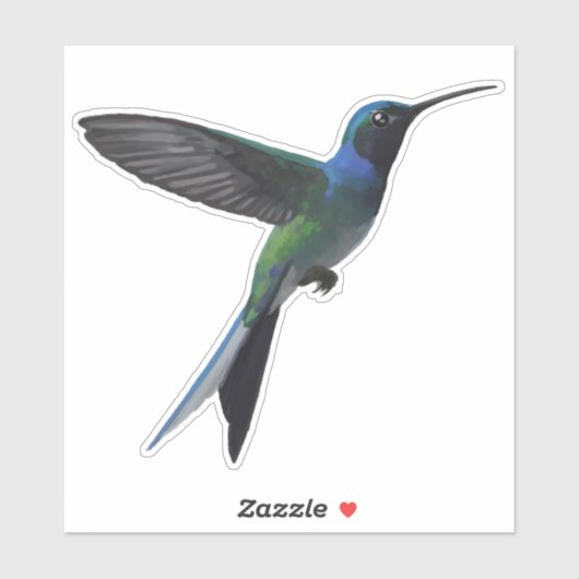 Kolibrie Sticker (Vel)