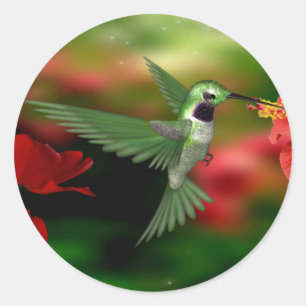 kolibrie-sticker ronde sticker