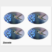 KOLIBRIE STICKERS (Vel)