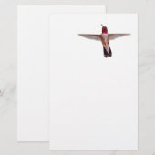 kolibrie tijdens de vlucht briefpapier (Voorkant / Achterkant)