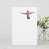 kolibrie tijdens de vlucht briefpapier (Staand voorkant)