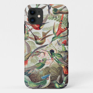Kolibrie, Trochilidae Kolibris door Ernst Haeckel Case-Mate iPhone Case