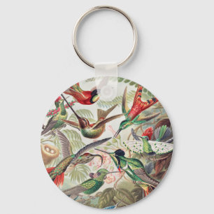 Kolibrie, Trochilidae Kolibris door Ernst Haeckel Sleutelhanger