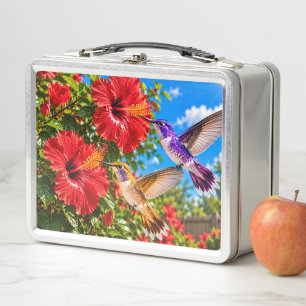 Kolibrie Tuin Pauze Tijd Natuur Lunchbox