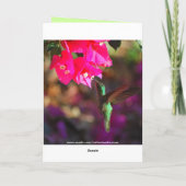 Kolibrie van de Verjaardag van de grootmoeder de Kaart (Achterkant)