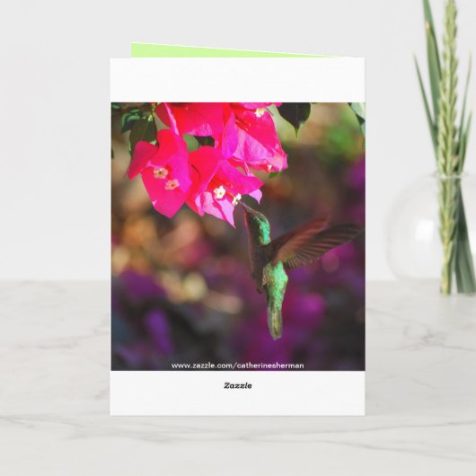 Kolibrie van de Verjaardag van de grootmoeder de Kaart (Achterkant)