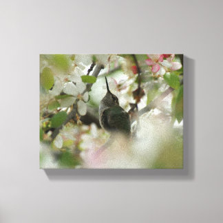 Kolibrie Verpakt Canvas Afdruk