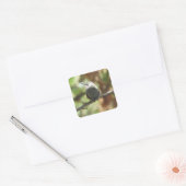 kolibrie vierkante sticker (Envelop)
