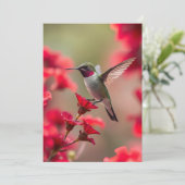 Kolibrie - Vlak Wenskaart Kaart (Staand voorkant)