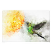 Kolibrie vliegen met bloem Waterverf - 02 Foto Afdruk (Voorkant)
