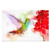 Kolibrie vliegen met bloem Waterverf - 03 Foto Afdruk (Voorkant)