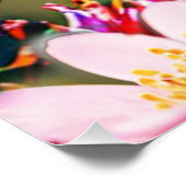 Kolibrie vliegend naar een bloemen Glanzend Poster (Hoek)