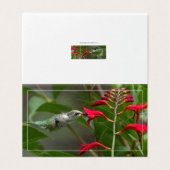 Kolibrie voeden bij Red Crocosmia Kaart (Buitenkant ongevouwen)