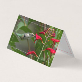 Kolibrie voeden bij Red Crocosmia Kaart