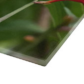 Kolibrie voeden bij Red Crocosmia Snijplank (Hoek)