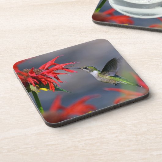 kolibrie voeding Onderzetter set (Linkerzijde)