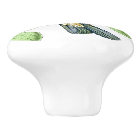 Kolibrie Vogel Bloem Bloemen Tuin Knop (Zijkant)