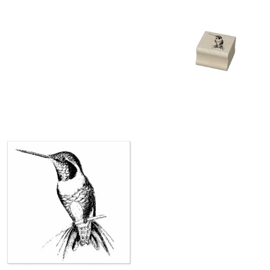 Kolibrie Vogel Dier Wildlife Wood Stamp Rubberstempel (Gestempeld)