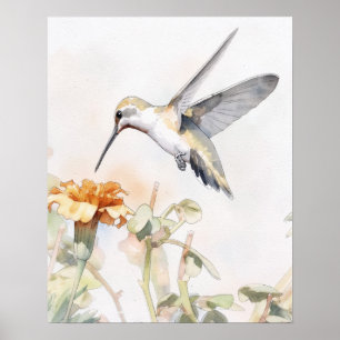 Kolibrie Vogel Kunst Poster
