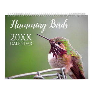 Kolibrie Vogel Natuur Natuurlijke Muur Kalender