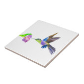 Kolibrie Vogel Wildlife Waterverf Kleurrijk Tegeltje (Zijkant)