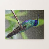 Kolibrie Vogel Zit Snavel Veren Legpuzzel (Horizontaal)
