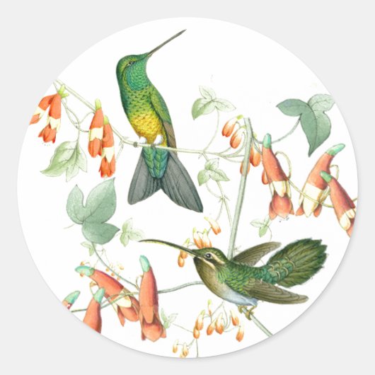 Kolibrie Vogels Wildlife Bloemen Dieren Bloemen Ronde Sticker (Voorkant)