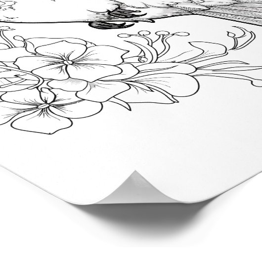 Kolibrie volwassen kleuring poster (Hoek)