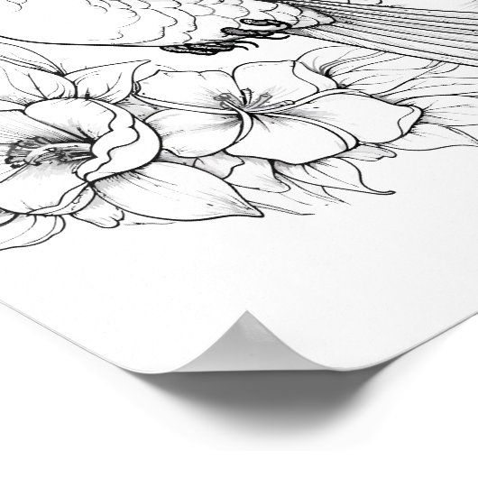 Kolibrie volwassen kleuring poster (Hoek)