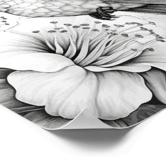 Kolibrie volwassen kleuring poster (Hoek)