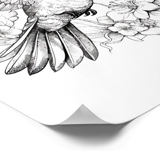 Kolibrie volwassen kleuring poster (Hoek)