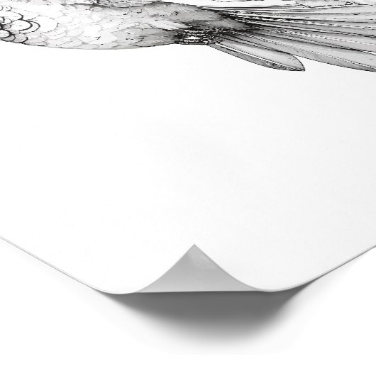 Kolibrie volwassen kleuring poster (Hoek)