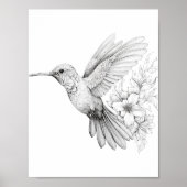 Kolibrie volwassen kleuring poster (Voorkant)