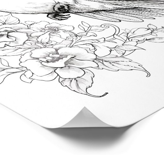 Kolibrie volwassen kleuring poster (Hoek)