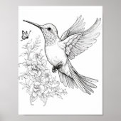 Kolibrie volwassen kleuring poster (Voorkant)