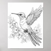 Kolibrie volwassen kleuring poster (Voorkant)