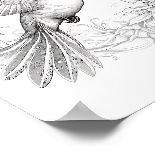 Kolibrie volwassen kleuring poster (Hoek)