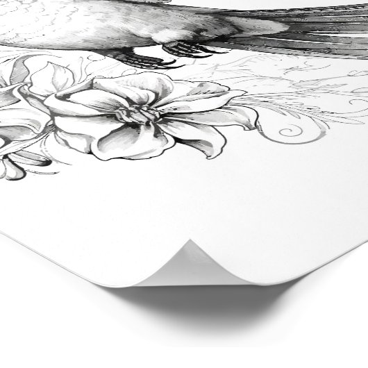 Kolibrie volwassen kleuring poster (Hoek)