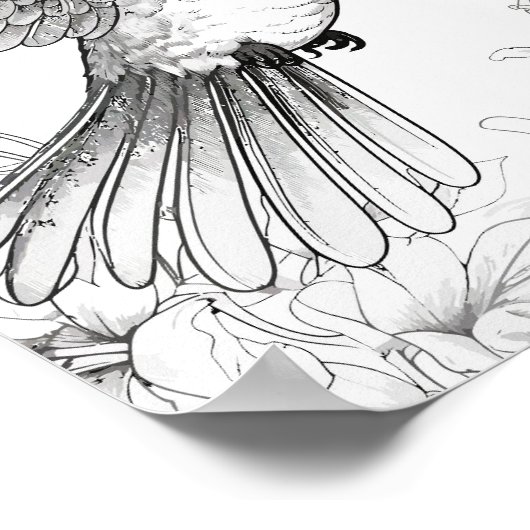 Kolibrie volwassen kleuring poster (Hoek)