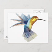kolibrie waterverf vreedzame schets briefkaart (Voorkant / Achterkant)