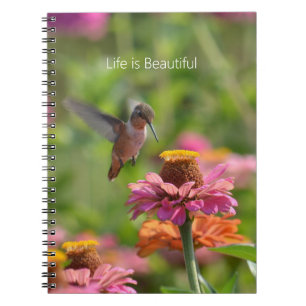 Kolibrie Zinnia Bloemen (mijn fotografie) Notitieboek
