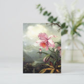 Kolibrie zit, fine art, briefkaart (Staand voorkant)